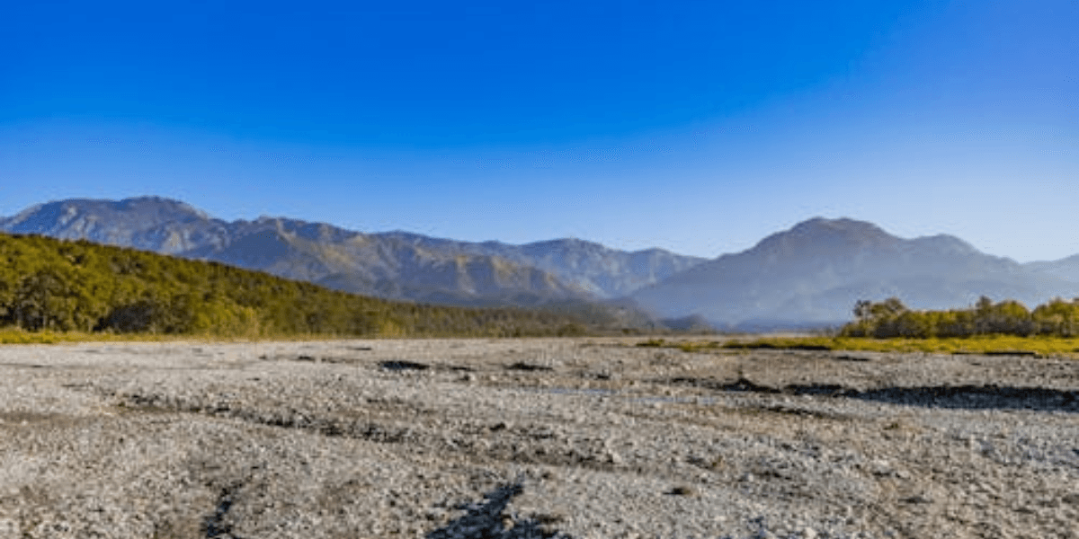 Jim Corbett Safari Guide 2026: Choosing the Best Zone for Tigers and Wildlife