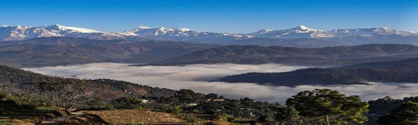 Almora district